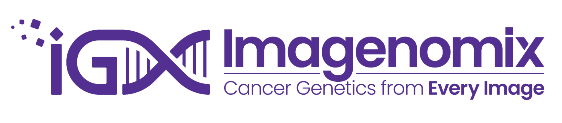 Imagenomix logo